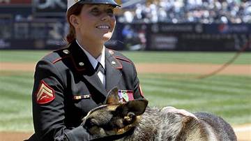 Megan Leavey: the Unyielding Bond Between a Marine and Her Dog