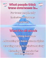 Understanding Trans Kay: Essential Information for Allies